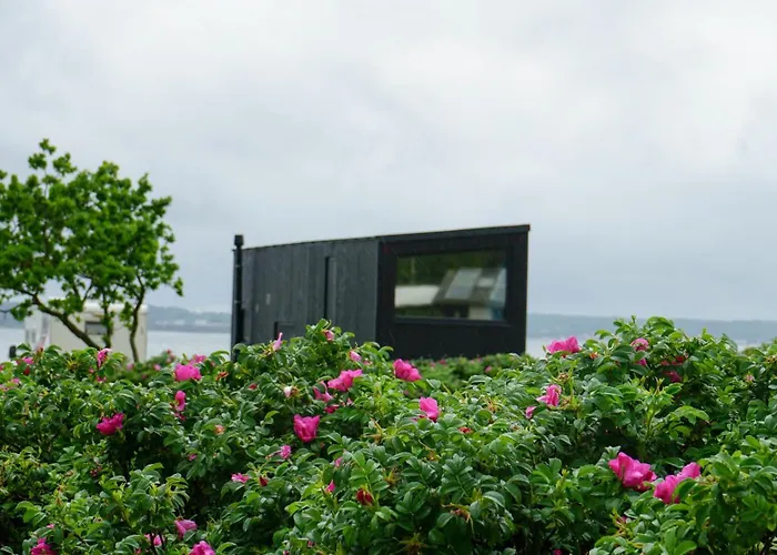 Casa vacanze Tiny Seaside - Skarrev